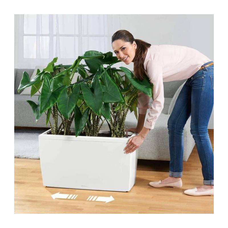 Lechuza - Pot De Fleur Lechuza Cararo Premium - Kit Complet, Taupe Brillant - Image 3