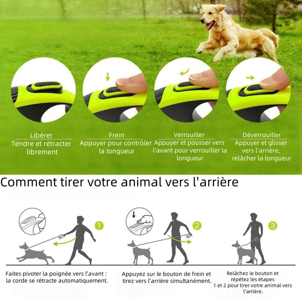Laisse pour chien en nylon solide et élastique m - IntiMeg - Image 3