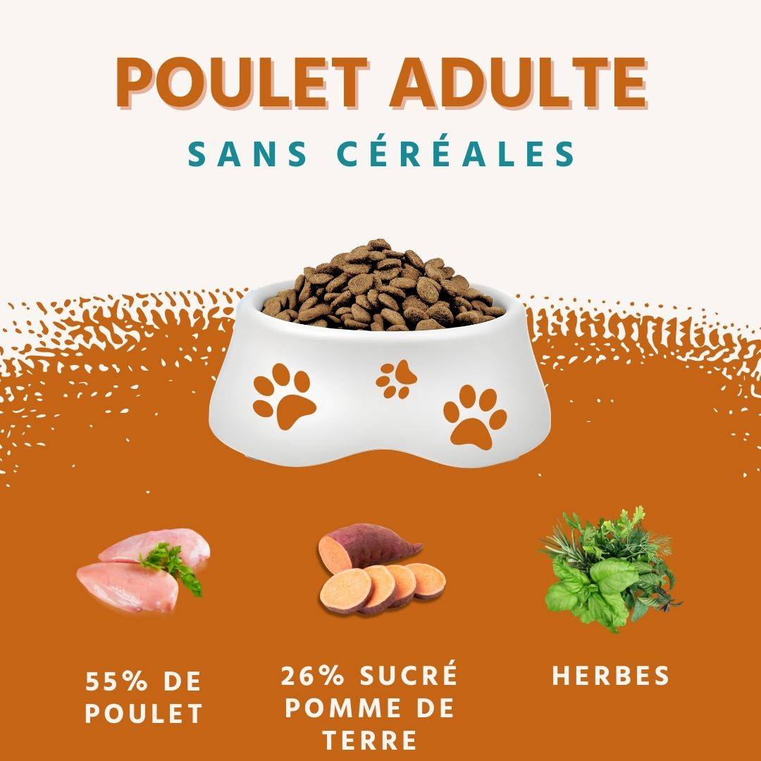 Wildfang - Wildfang Croquettes Poulet maigre & herbes — Sans céréales, Sans gluten, Hypoallergénique pour chiens adultes (Origine CEE) - Image 2