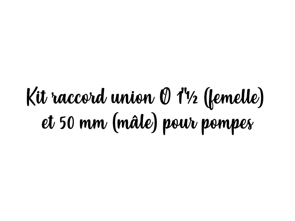 Kit raccord union Ø 1"½ (femelle) et 50 mm (mâle) pour pompes - Pentair - Image 2