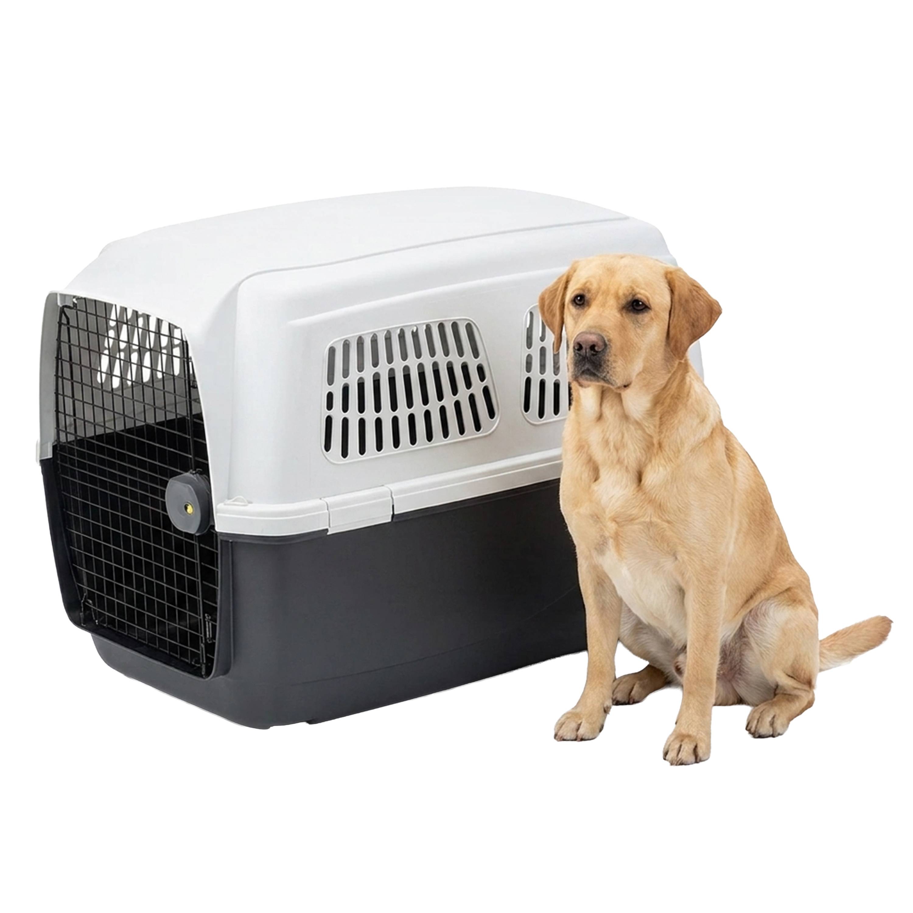 Ferplast - Ferplast Cage de Transport pour Chiens CLIPPER 6, IATA, Panier Transport Grand Chien max 45 Kg, Boite Transport, Voyage Animaux Voiture Avion Train 93 - Image 5