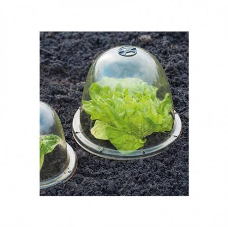 Cloche de jardin en plastique transparent - Lot de 3, Diamètre Ø33.5 cm - Image 2