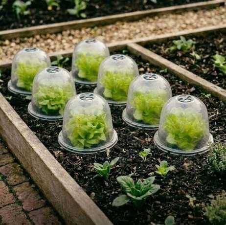 Cloche de jardin en plastique transparent - Lot de 3, Diamètre Ø33.5 cm - Image 3