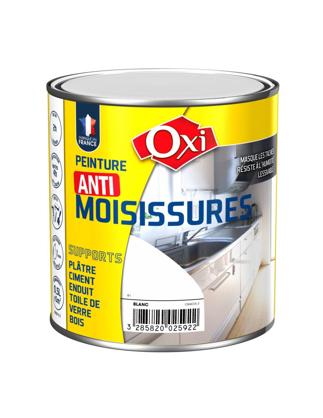 Peinture Anti Moisissure Castorama