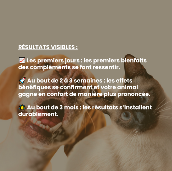 Complément alimentaire vétérinaire - Mobilité (articulations) chien 150 mL - VetyVert - Image 6