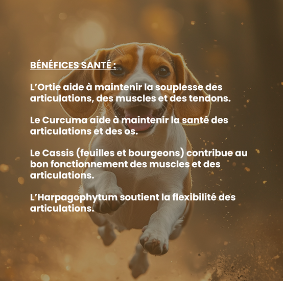 Complément alimentaire vétérinaire - Mobilité (articulations) chien 150 mL - VetyVert - Image 4
