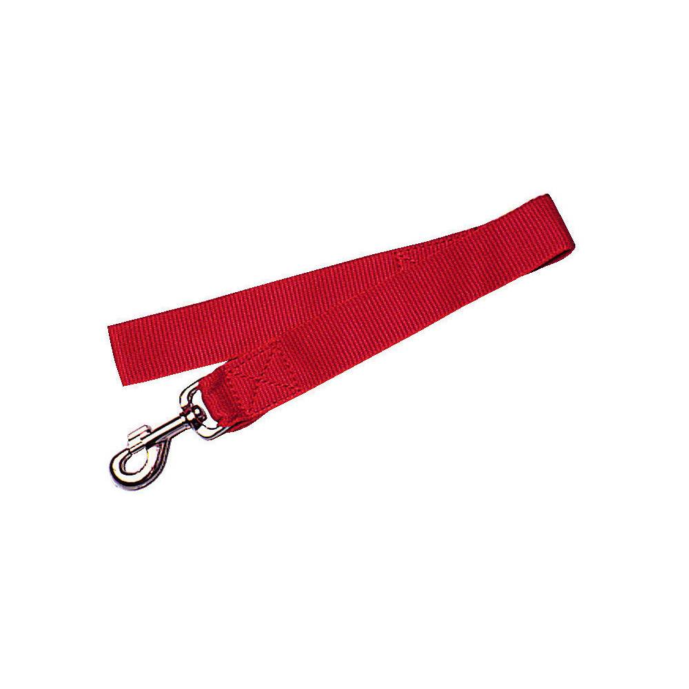 Zolux - Laisse Nylon XL 60 cm rouge  pour chien - Image 1