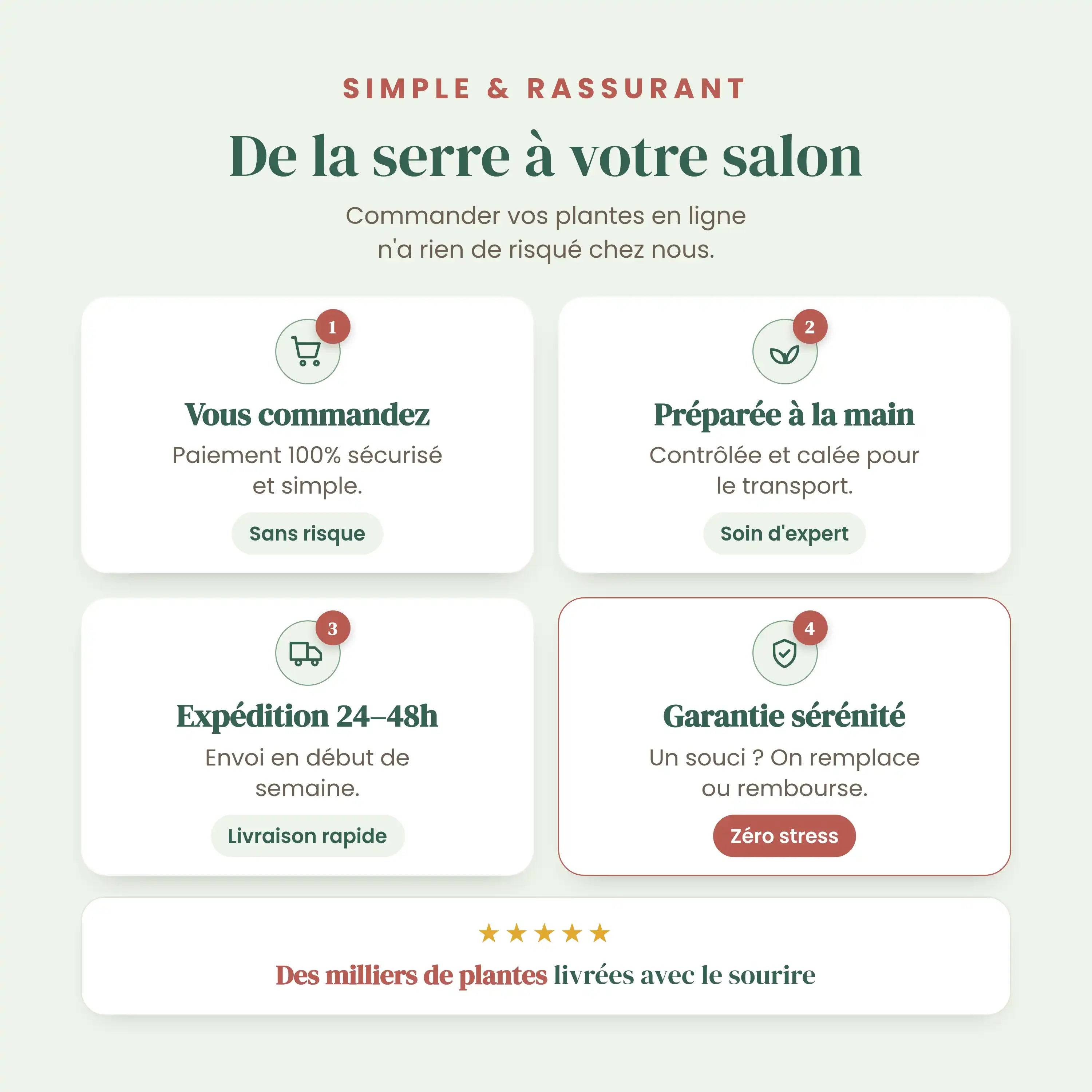 Hoya 'Mathilde' - Pot de 9cm - Plantes d'intérieur - Image 2