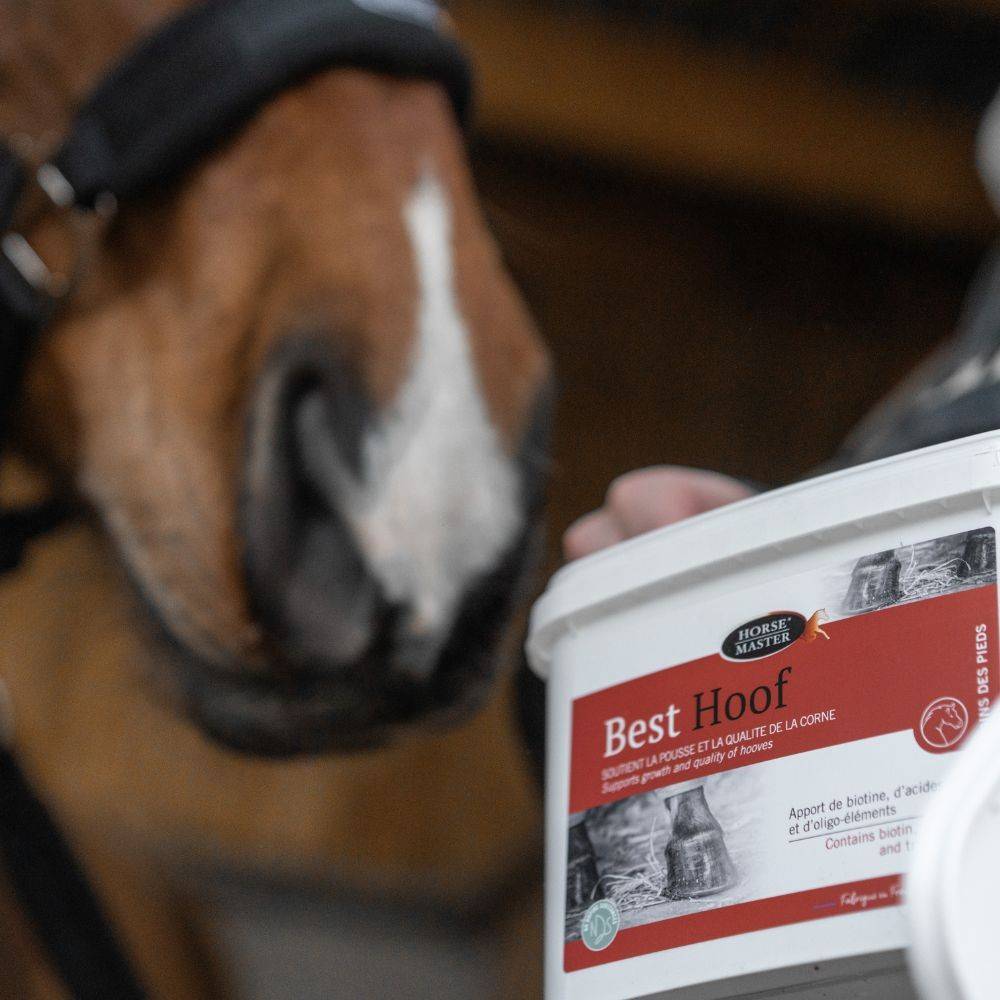 Best Hoof - Complément Biotine Sabots Cheval - Horse Master 20 kg - Image 2