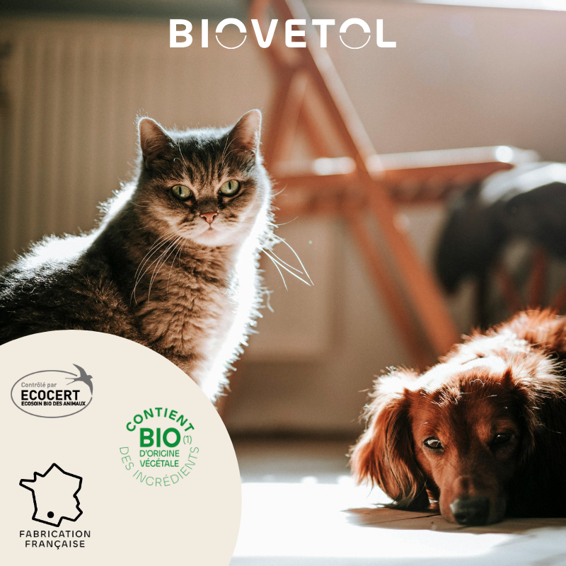 Biovetol - Shampoing Anti-Insectes Bio (recharge écologique) - Image 4