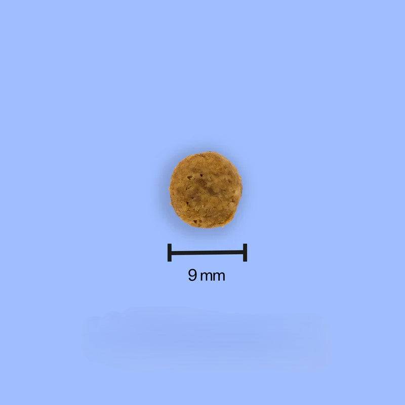 Tomojo - Croquettes aux Insectes Sans Céréales pour Chat - Image 3