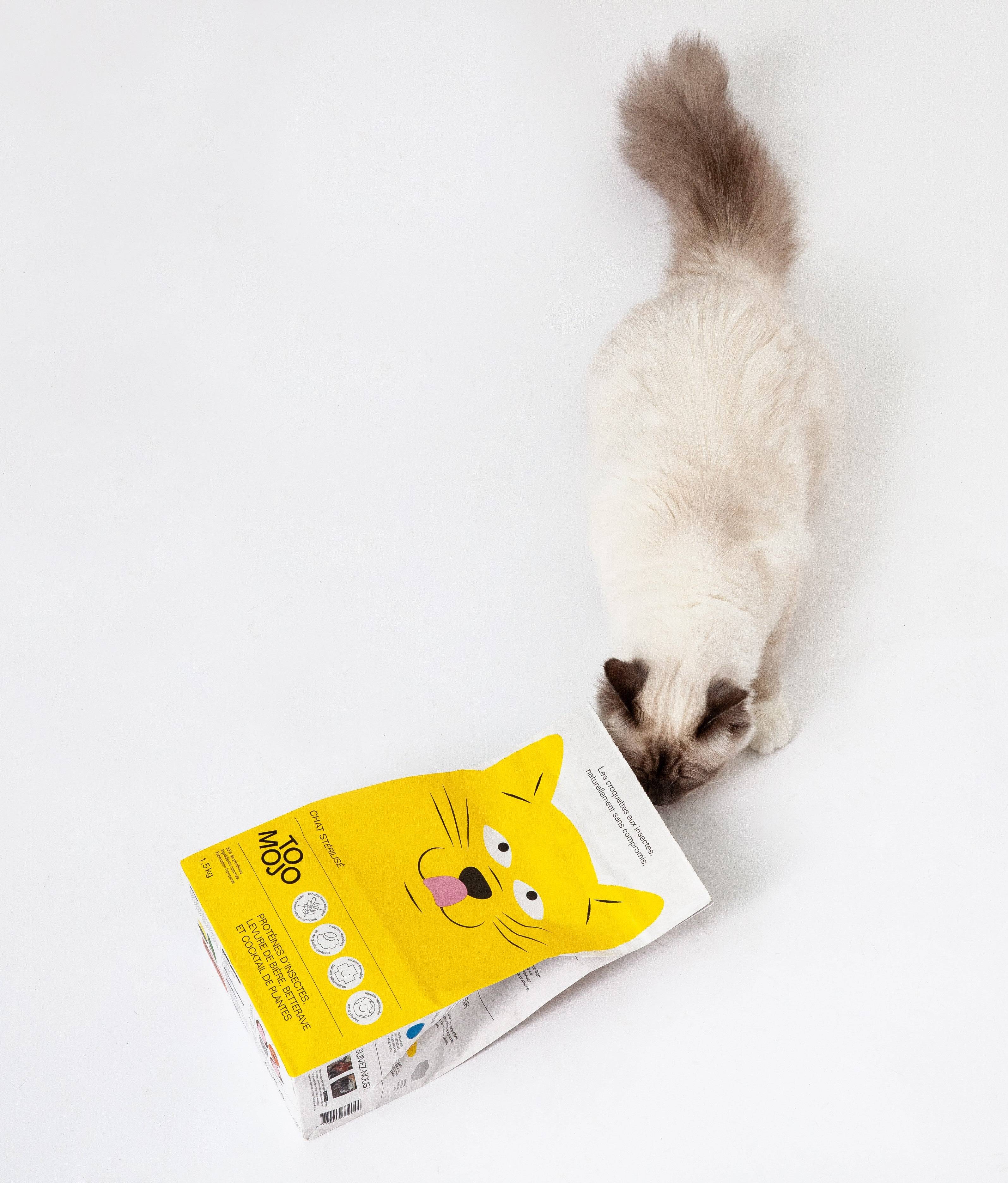 Tomojo - Croquettes aux Insectes Sans Céréales pour Chat - Image 2