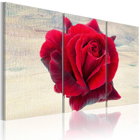 Tableau Imprimé "Lyrical Rose" 80 x 120 cm - Image 1