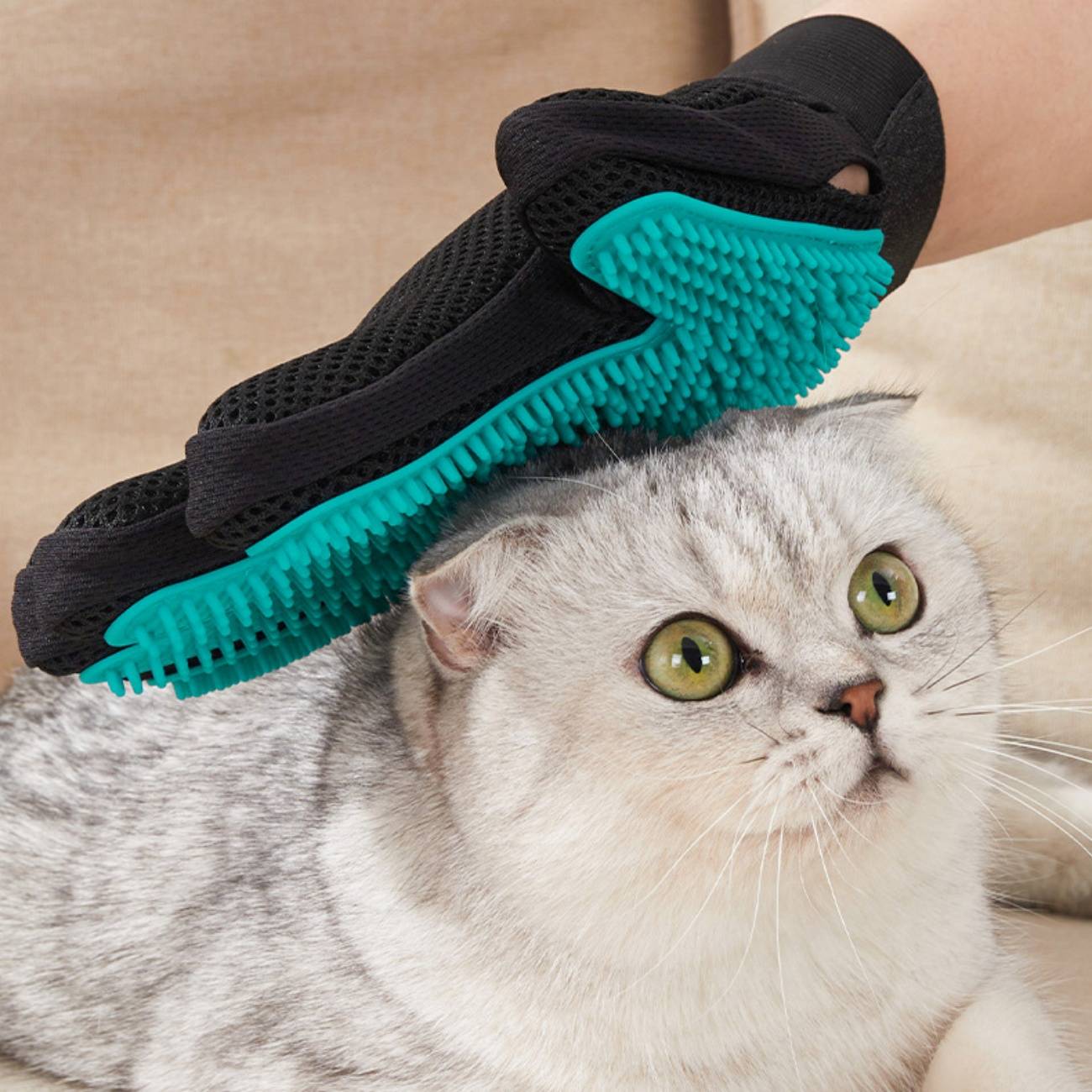 Gant toilettage 4 en 1 – Soin facile pour animaux  DtopbuyAge - Image 4