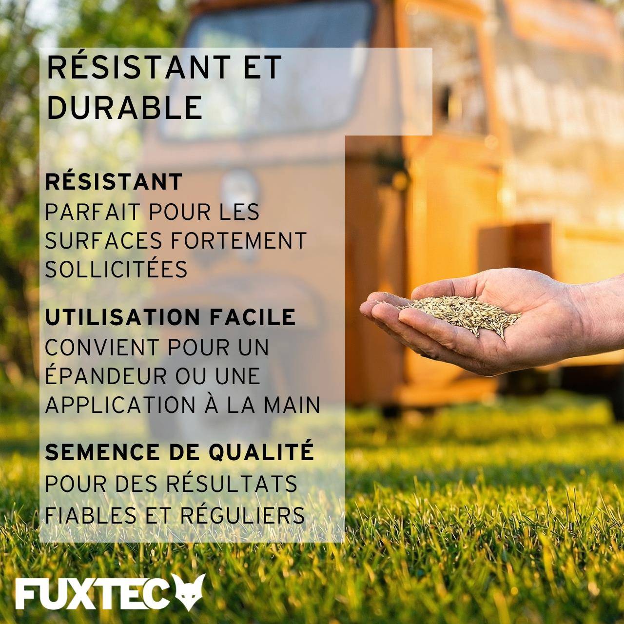 Semences de gazon sport et jeux 1 kg FUXTEC FX-RSSP1 pelouse résistante au piétinement jardin et zones de loisirs - Image 5