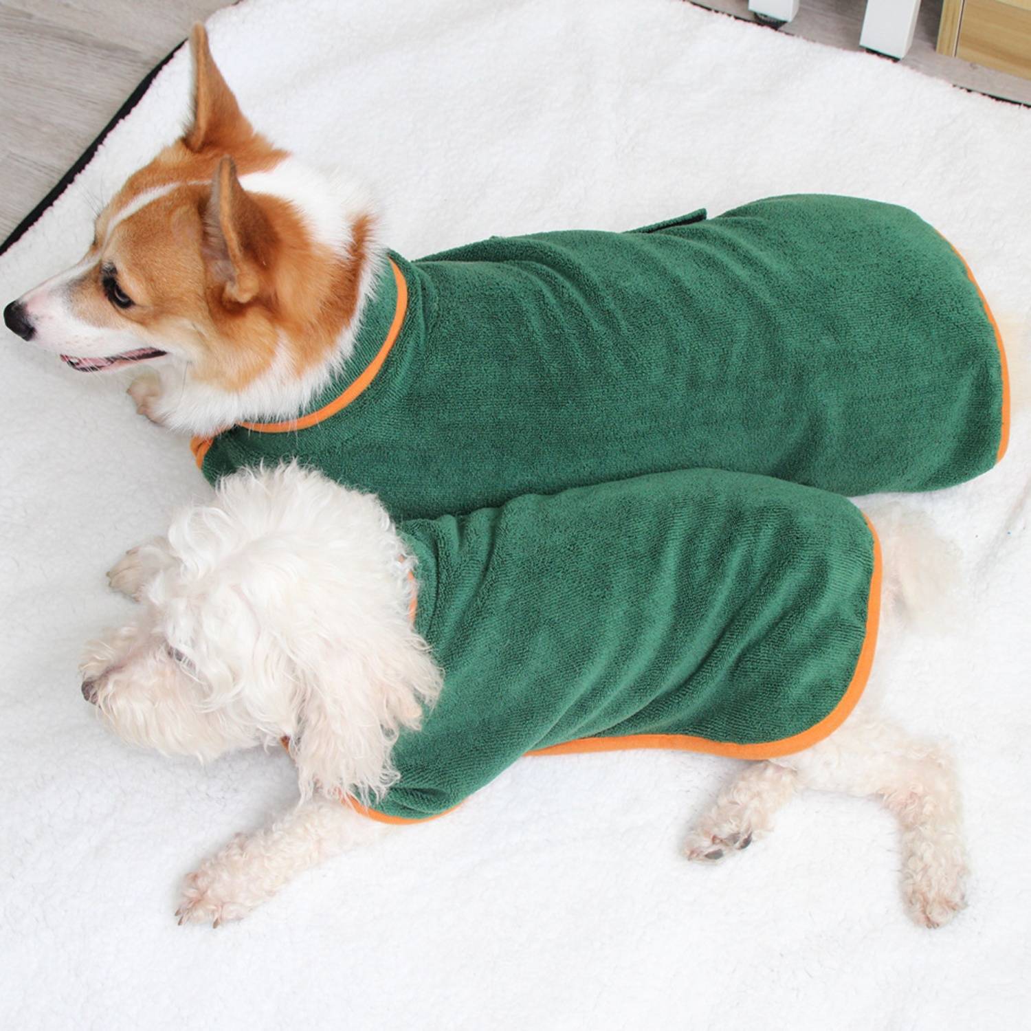 DtopbuyAge - Peignoir Séchant pour Chien - Séchage Rapide et Absorbant DtopbuyAge - Image 3