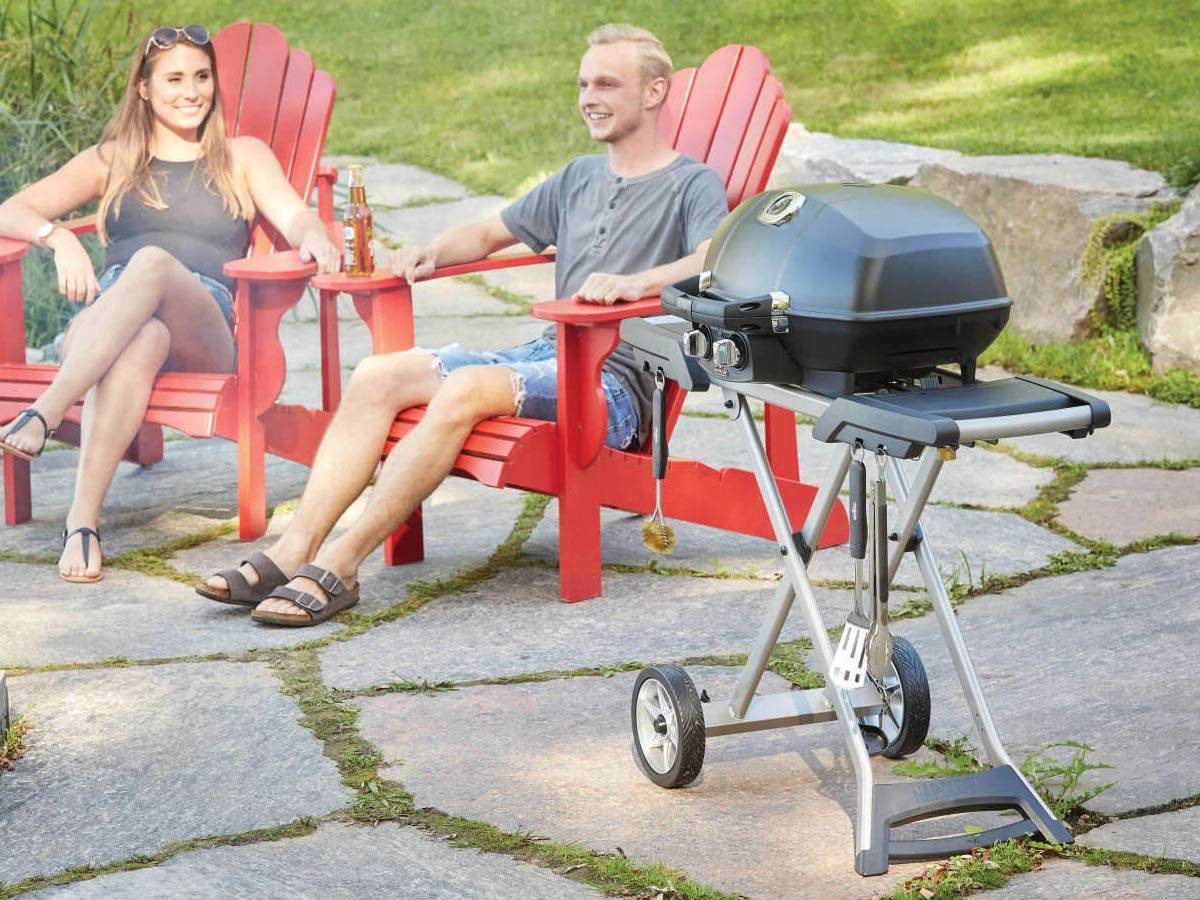 Napoleon - Barbecue à gaz TravelQ PRO 285X avec Chariot pliable - Image 10