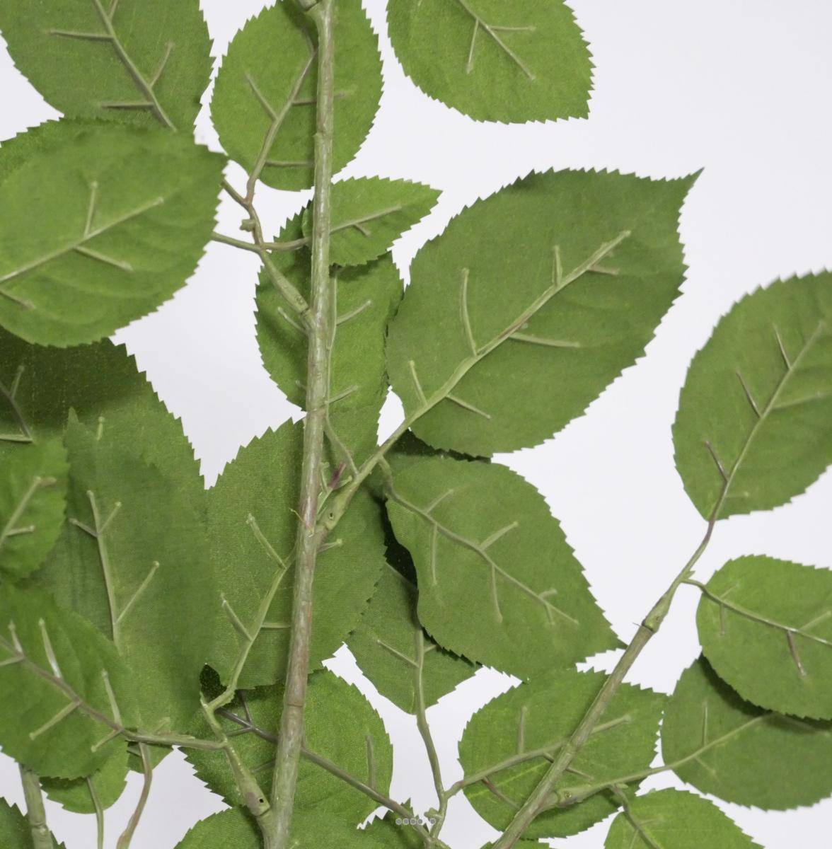 Artificielles - Branche de Hetre artificiel vert H 65 cm 43 feuilles feu retardant - Image 4
