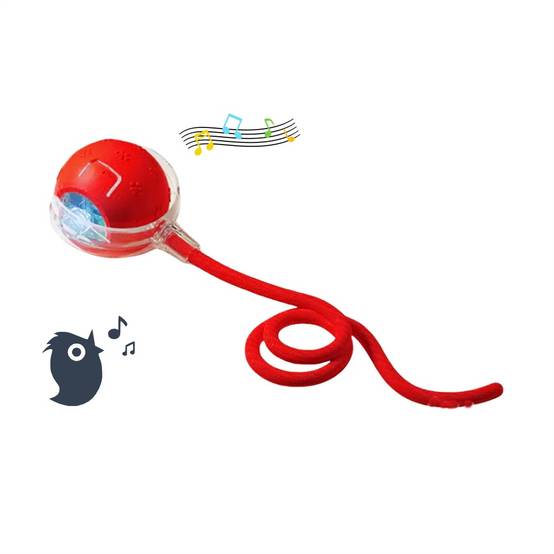 Balle intelligente pour chat DtopbuyAge - Image 1