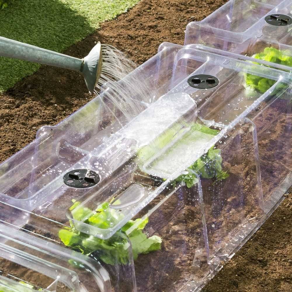 Terre Jardin - Tunnel de forçage transparent - Image 7