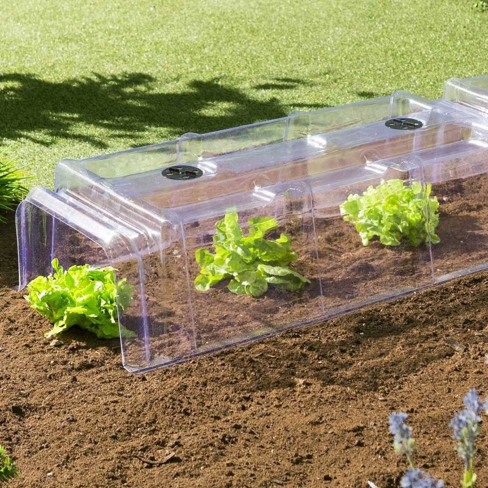 Terre Jardin - Tunnel de forçage transparent - Image 4