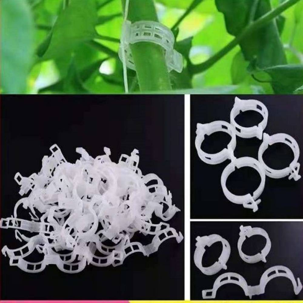 Clip de Support pour Plantes - IntiMeg - Image 2