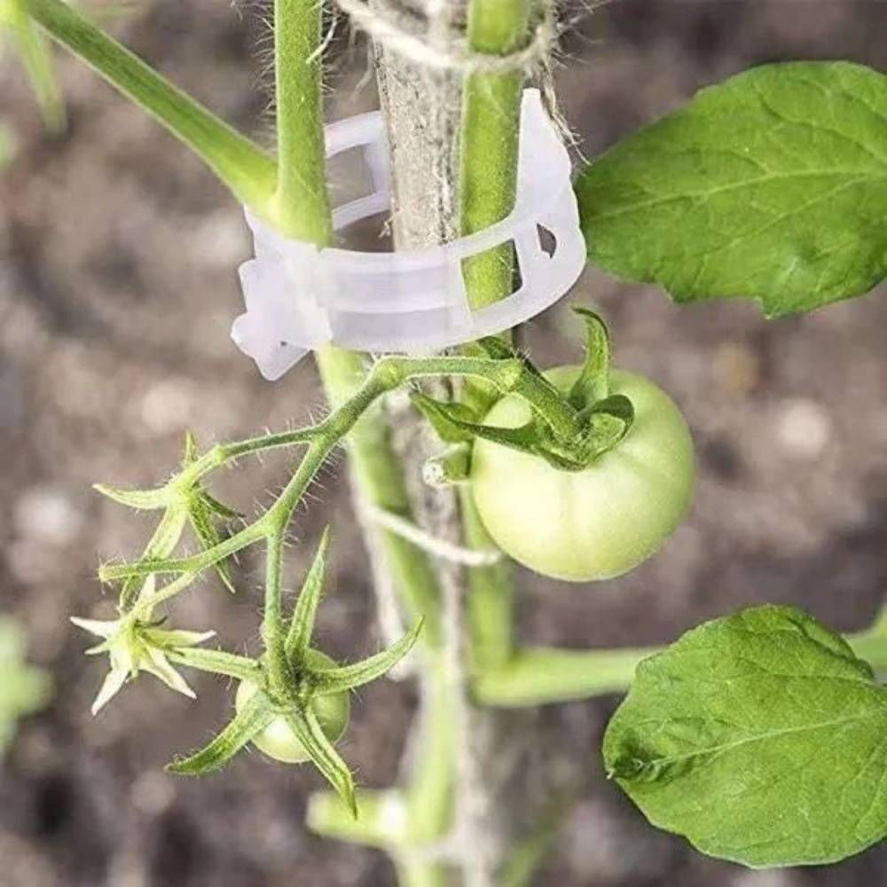 Clip de Support pour Plantes - IntiMeg - Image 4