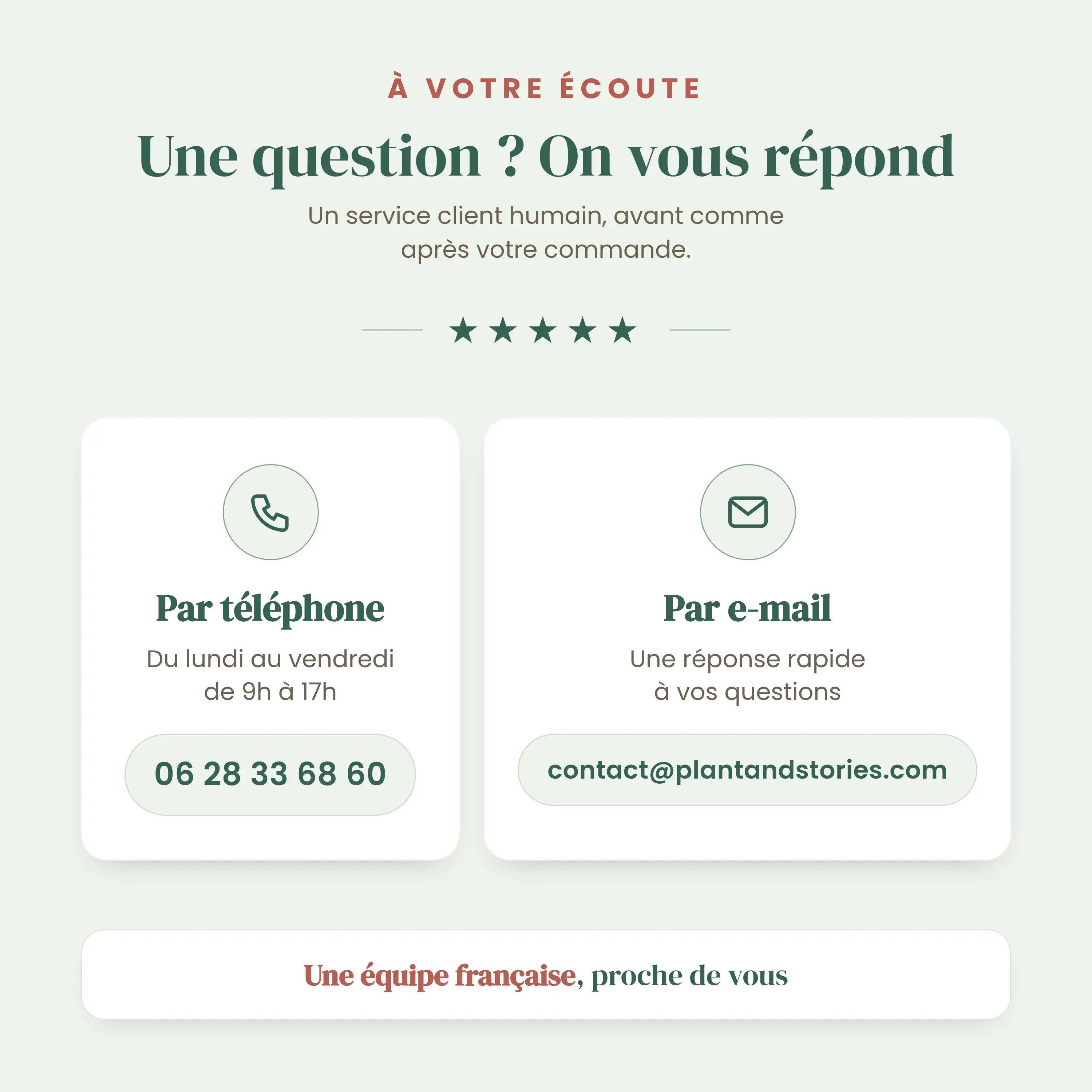 Fleur de lune - Spathiphyllum - en pot céramique vert jade - Ø12cm - ↕35cm - Plantes d’intérieur - Image 4