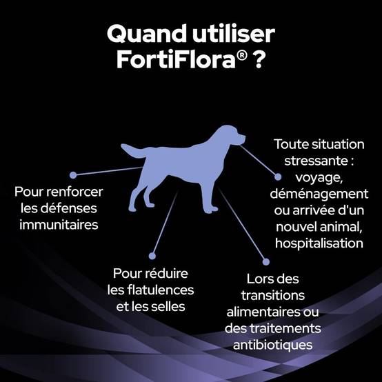 Fortiflora Bouchées Chien - Purina Pro Plan Veterinary Diets 60 g - Image 3