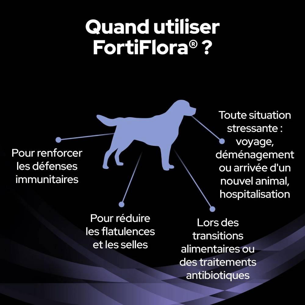Fortiflora Bouchées Chien - Purina Pro Plan Veterinary Diets 60 g - Image 3
