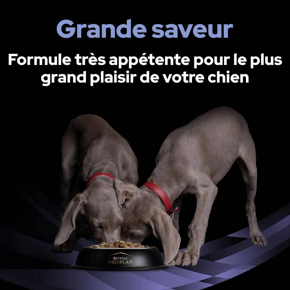 Fortiflora Bouchées Chien - Purina Pro Plan Veterinary Diets 60 g - Image 5