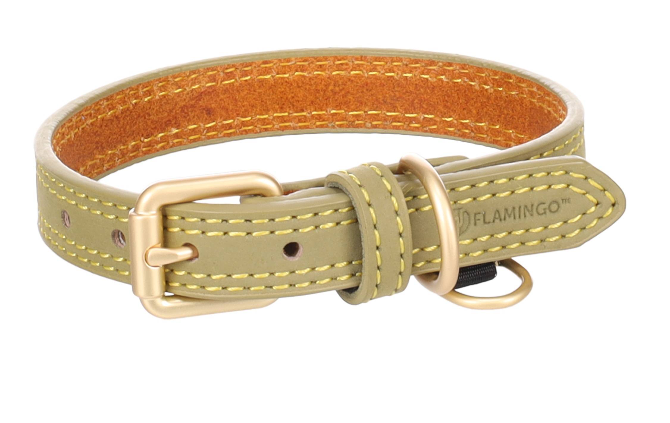 Eden - Collier pour chien Virginia en cuir XS / S 24-30cm 15mm vert - Image 3