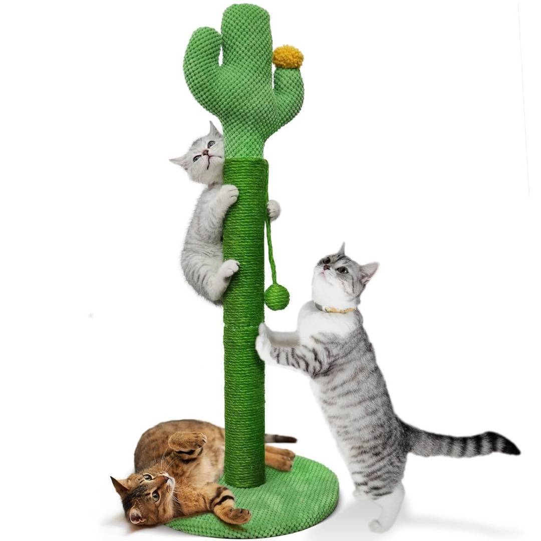 Griffoir en forme d'arbre cactus pour chat, en sisal avec boule jouet, facile à assembler Lytech - Image 1
