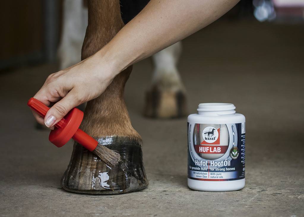 Baume Huile Cheval Huf Lab de Leovet Leovet produits chevaux - Image 2
