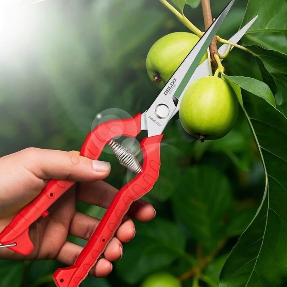 Sécateur Jardinage-Greffage-Sécateur Pro Lame Droite Acier Inox 65mm Pour Fleurs Fruits Jardin - Living123 - Image 2