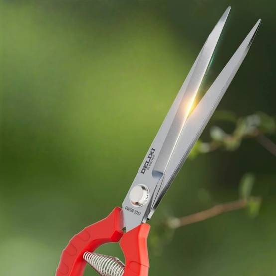Sécateur Jardinage-Greffage-Sécateur Pro Lame Droite Acier Inox 65mm Pour Fleurs Fruits Jardin - Living123 - Image 3