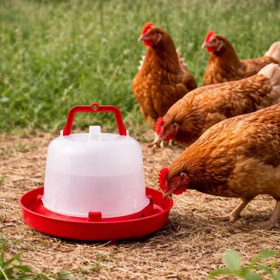 Abreuvoir plastique poule premium robuste avec poignée 5 L River Systems - Image 1