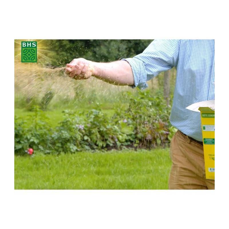 BHS - Gazon - Bhs - Haute Résistance 1kg - Usage Intesif - Image 3
