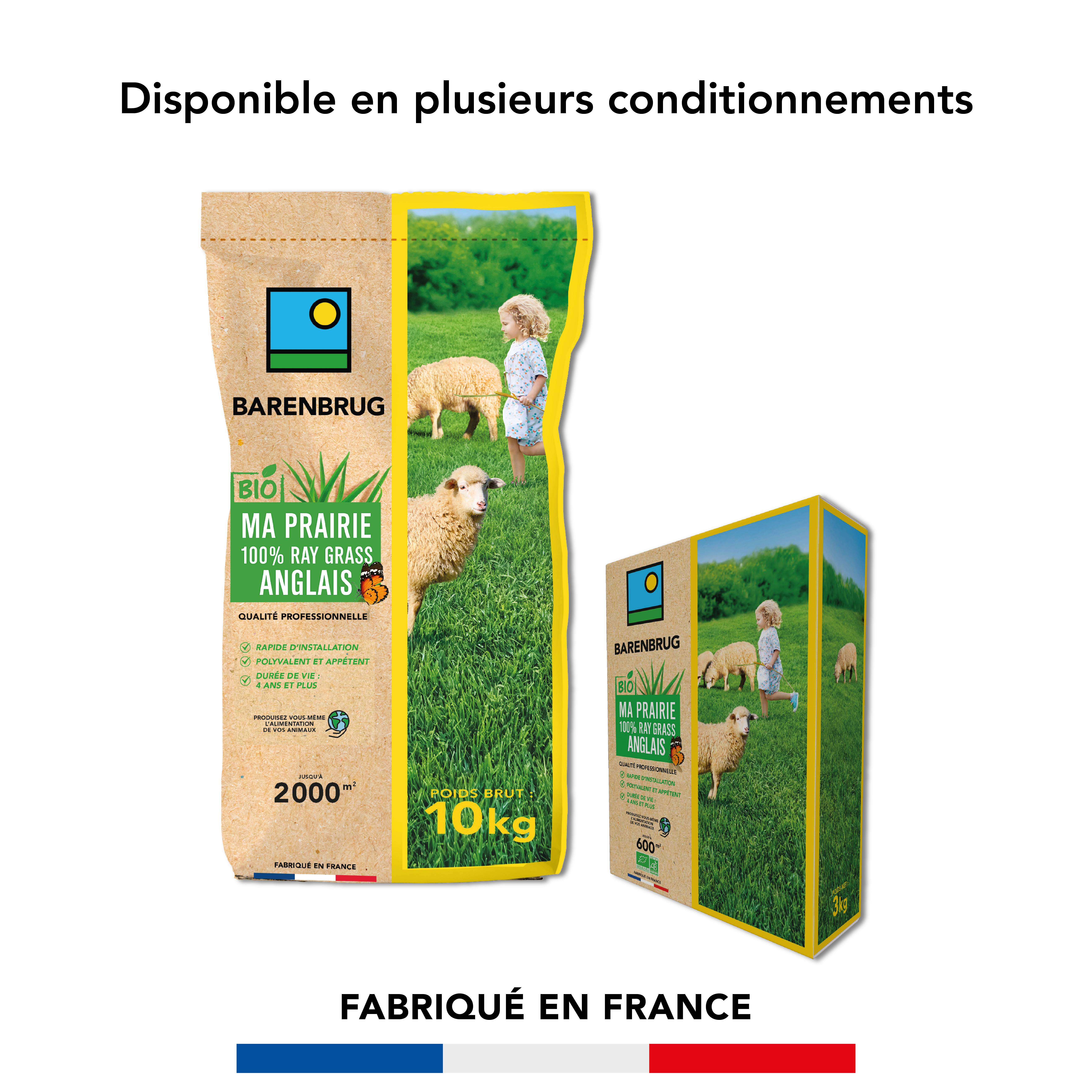 Prairie 100% Ray-grass anglais - Rapide d'Installation - Polyvalente et Appétente - Très Bonne Pérennité 4 ans et + - 10KG - BARENBRUG - Image 5