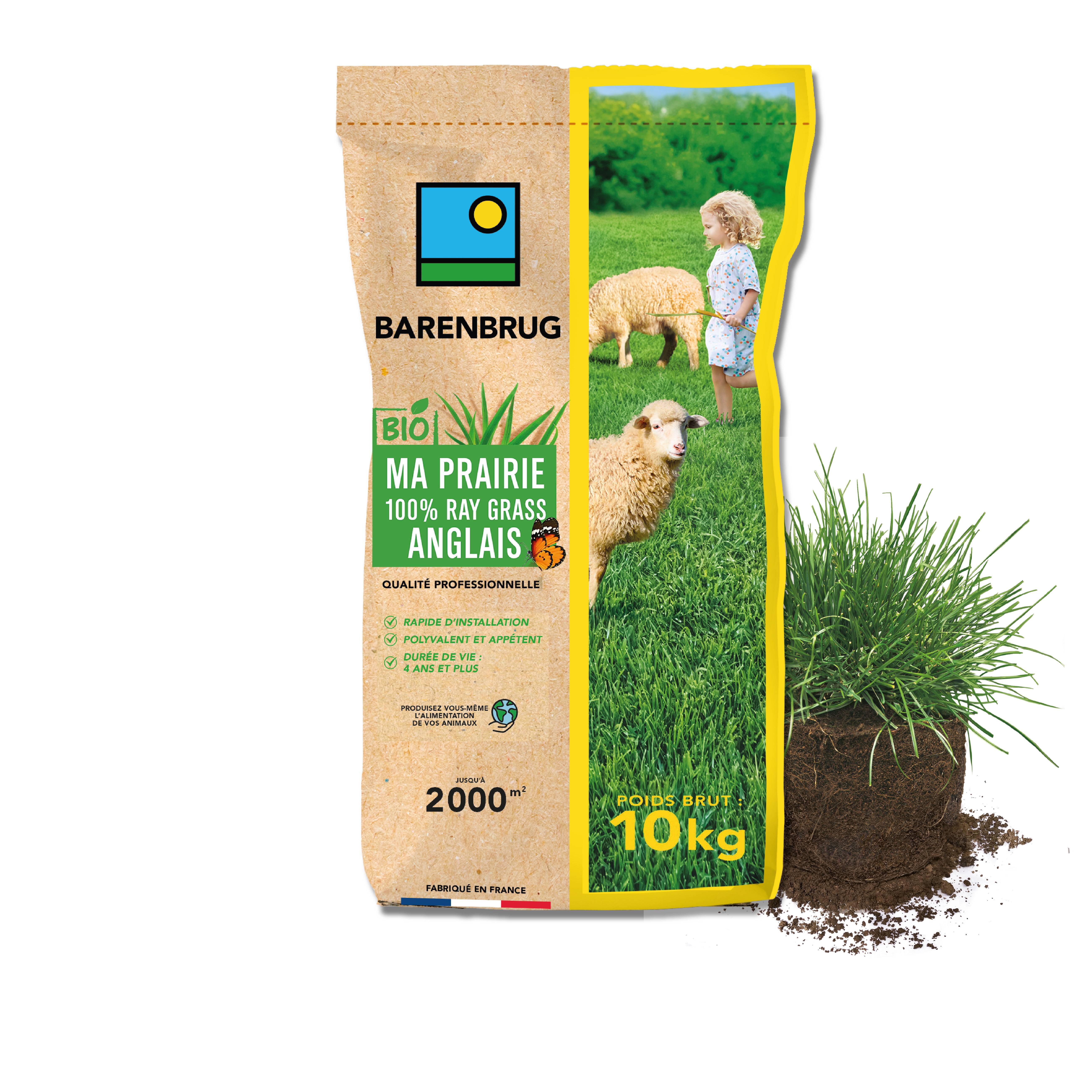 Prairie 100% Ray-grass anglais - Rapide d'Installation - Polyvalente et Appétente - Très Bonne Pérennité 4 ans et + - 10KG - BARENBRUG - Image 1