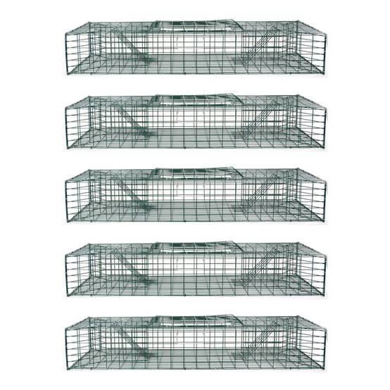 Lot de 5 nasses à rats musqués à 2 entrées, longueur 100 cm - Image 6