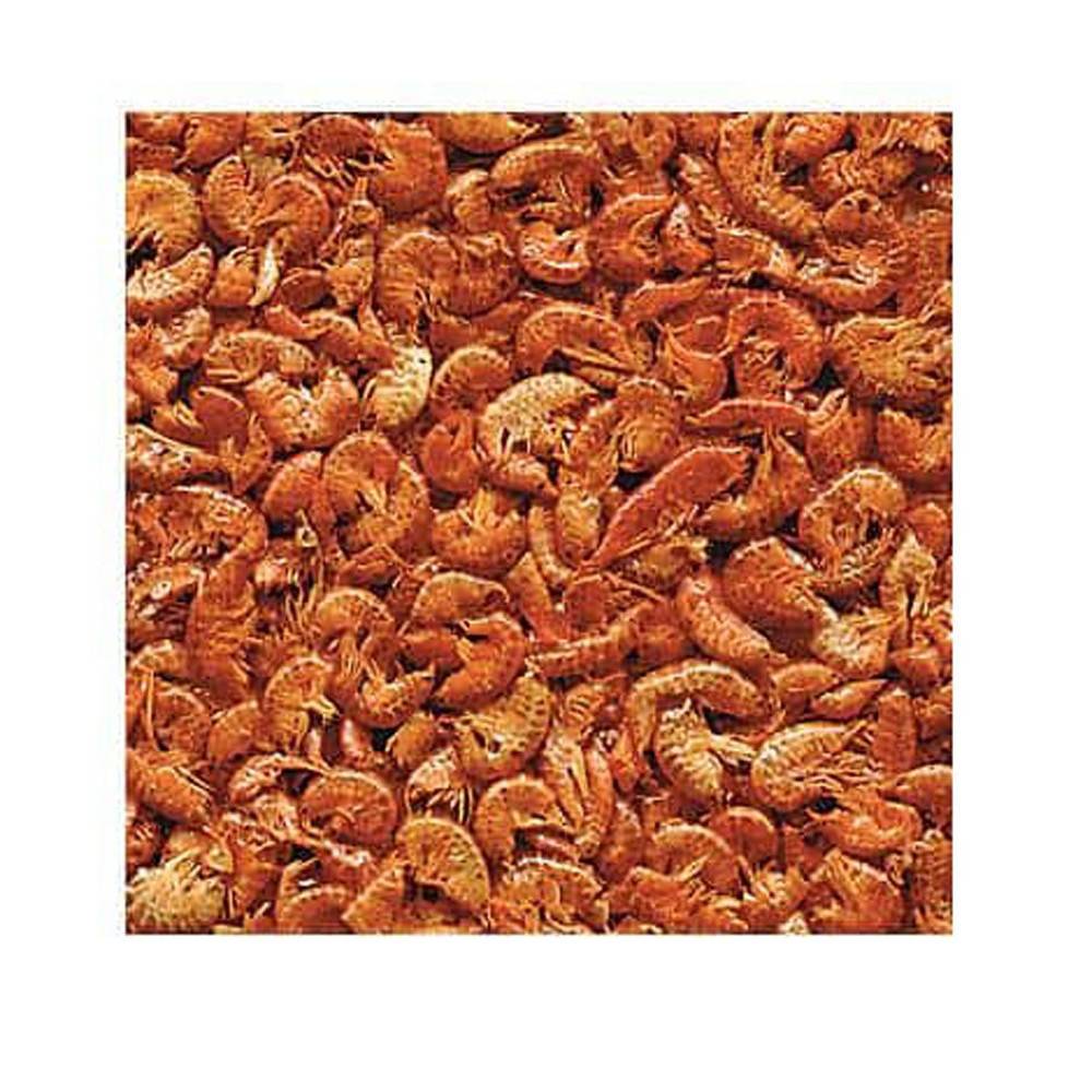 Gammarus, Aliment Naturel pour Aquariophilie 100 g Pour tortues d'eau - Image 1