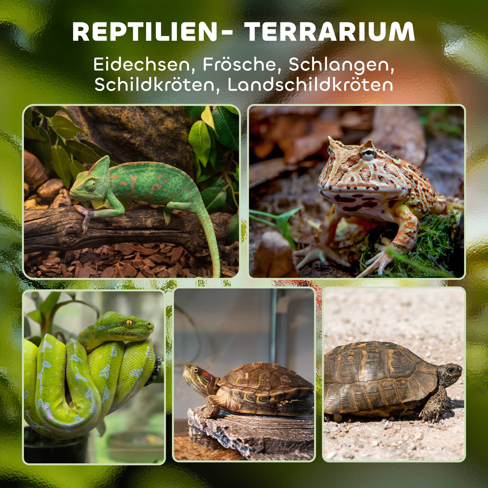 ComfortXL - Terrarium pour reptiles en verre trempé noir lézards serpents amphibiens fond étanche surélevé et ventilé - Image 4