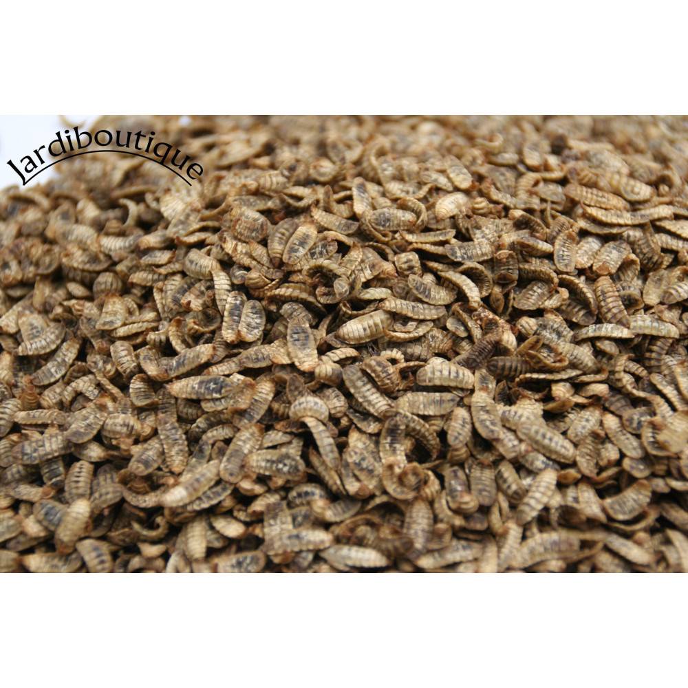 animallparadise - Nourriture oiseaux, poule, lézard, poisson 1 kg - Image 2