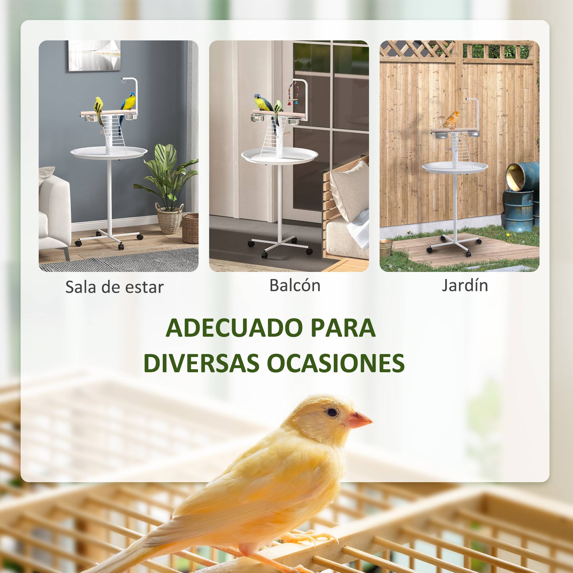 Comedero para Pajaros de Pie Ø60x138 cm avec 4 roues 2 Cuenco en acier inoxydable et 2 perchas blanches - Image 6