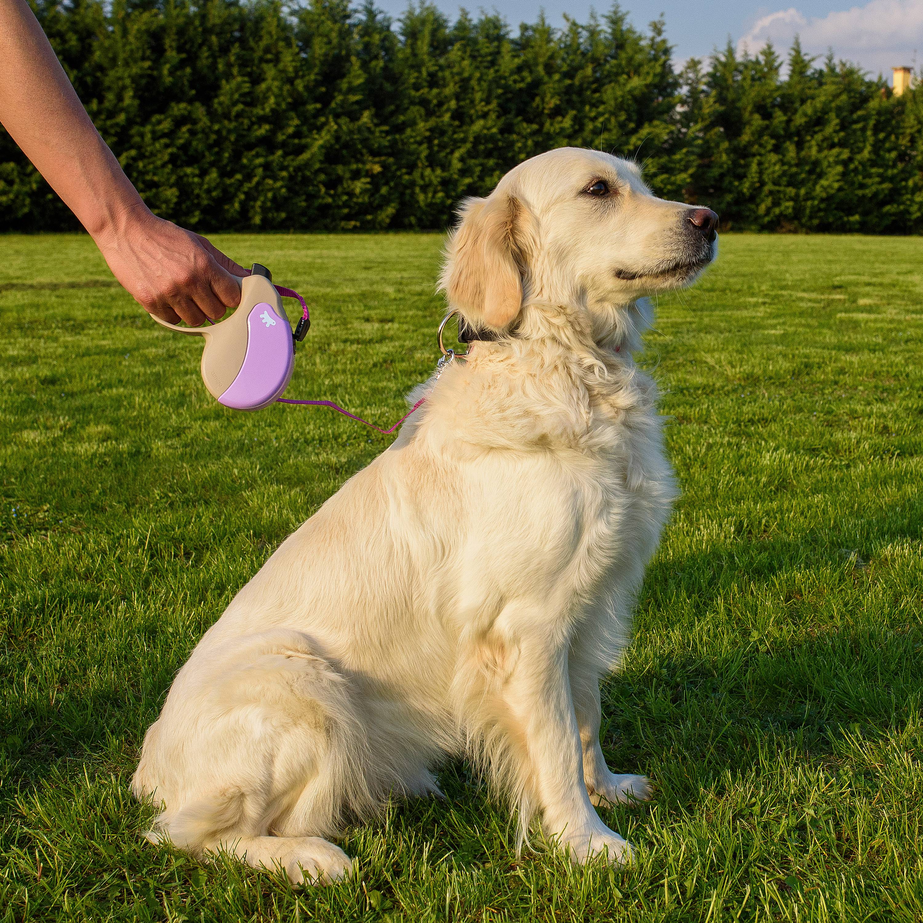Ferplast - Ferplast Laisse Chien Enrouleur AMIGO MEDIUM, Laisse pour Chiens de Taille Moyenne jusqu'à 25 Kg. Cordon Extensible max 5 m. Bouton de verrouillage et - Image 8