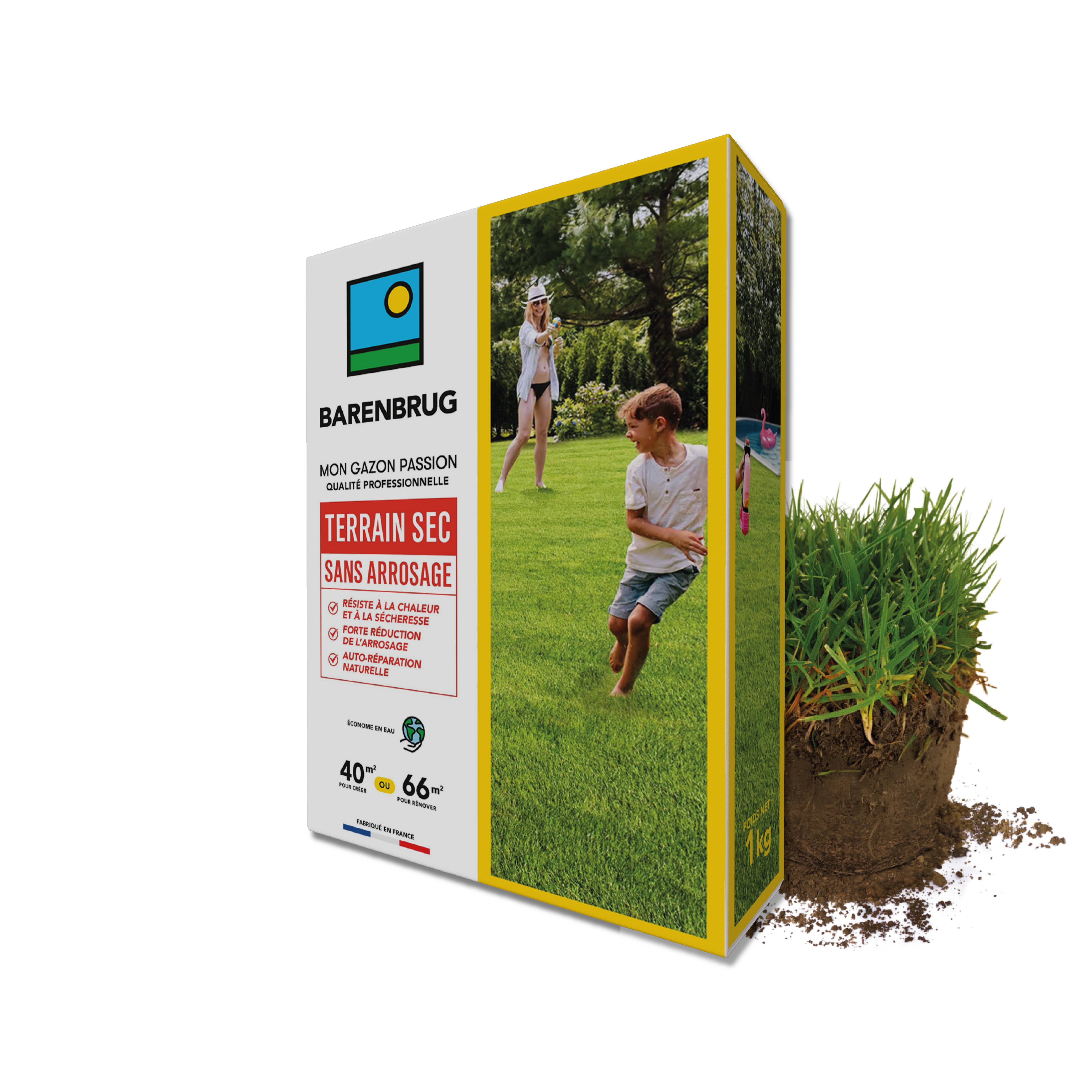 Gazon Terrain Sec sans arrosage - Résiste à la Chaleur et à la Sécheresse - Forte Réduction de l'Arrosage - Autoréparation Naturelle - 1KG - BARENBRUG - Image 1