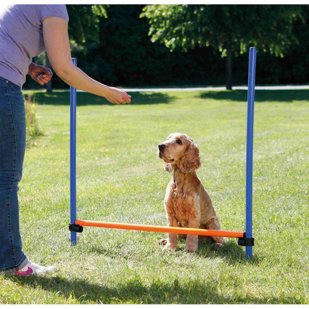 Trixie - Obstacle Agility pour chien 123 × 115 cm, ø 3 cm - Image 2