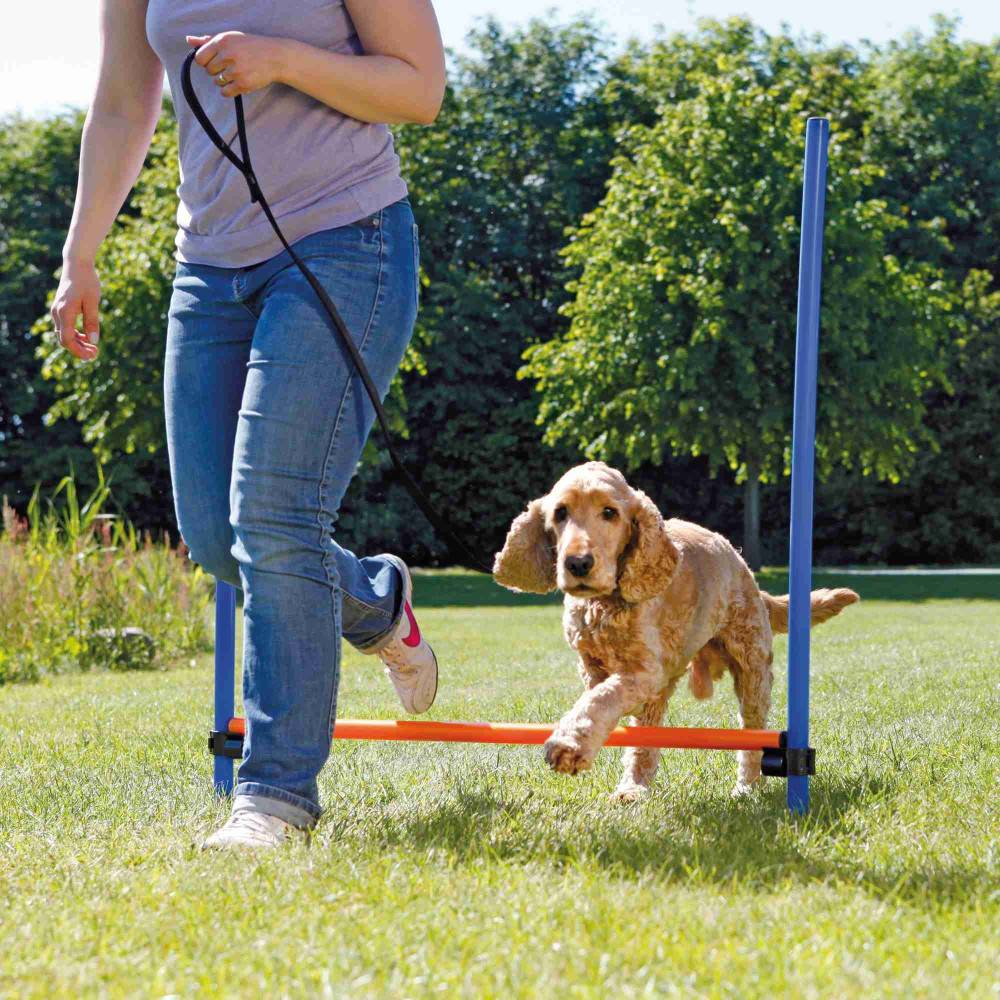 Trixie - Obstacle Agility pour chien 123 × 115 cm, ø 3 cm - Image 3