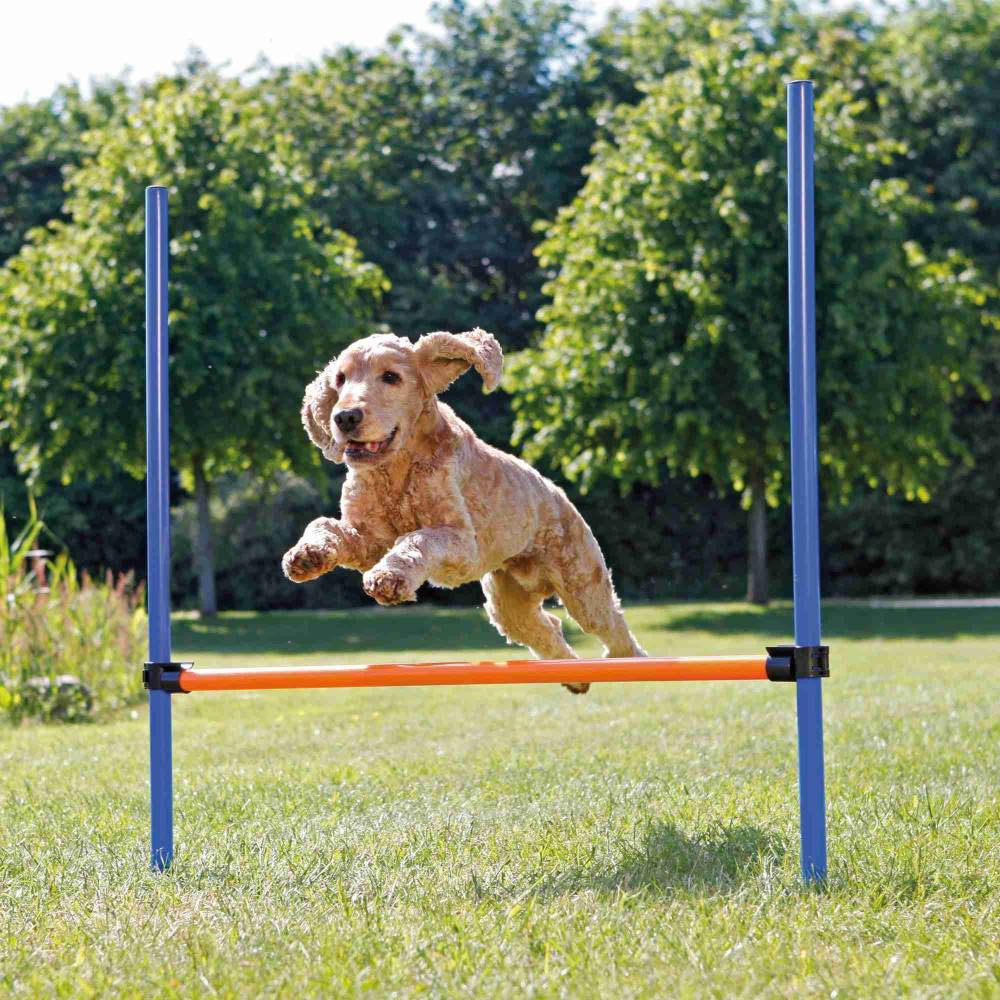 Trixie - Obstacle Agility pour chien 123 × 115 cm, ø 3 cm - Image 4